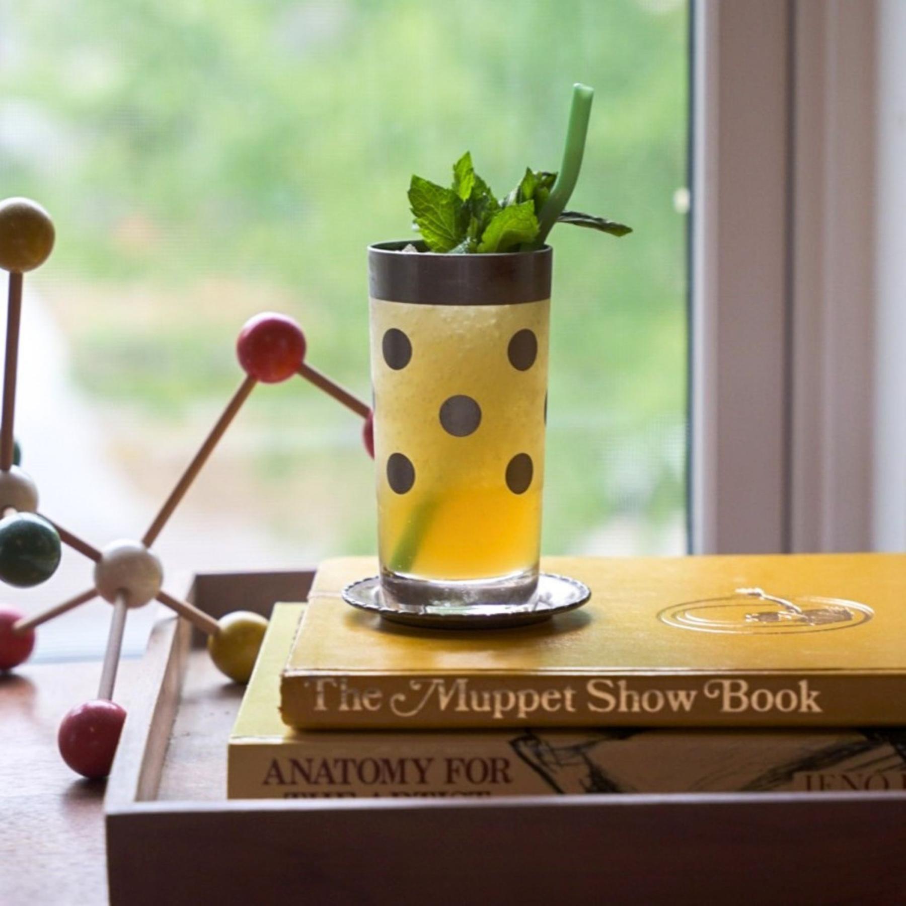 An example of the Punch Line, the mixed drink (drink), by Tim Wiggins, St. Louis, MO, featuring Meunier Génépy ‘Altitude’ Liqueur, blanco tequila, amontillado, syrup, lime juice, and mint; photo by Madison Young