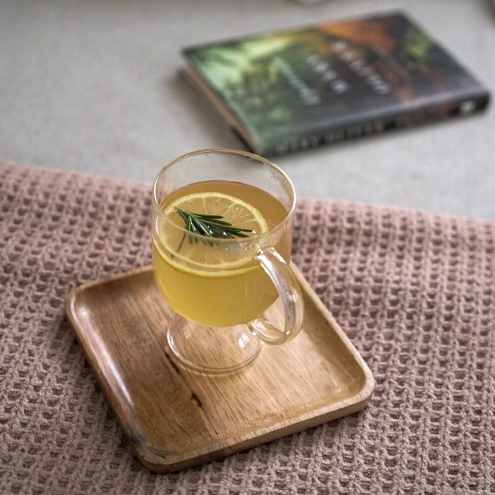 An example of the Tyrolean Toddy, the mixed drink (drink) featuring hot water, Purkhart Pear Williams Eau-de-Vie, honey syrup, lemon juice, lemon wheel, and sprig of rosemary; photo by Madison Young