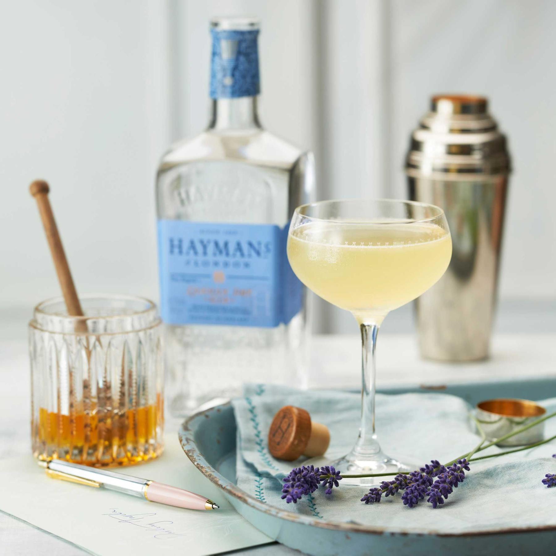An example of the Bee’s Knees, the mixed drink (drink), by Frank Meier, Ritz Carlton, Paris, featuring Hayman’s London Dry Gin, honey syrup, lemon juice, and lemon twist; photo by Hayman’s of London