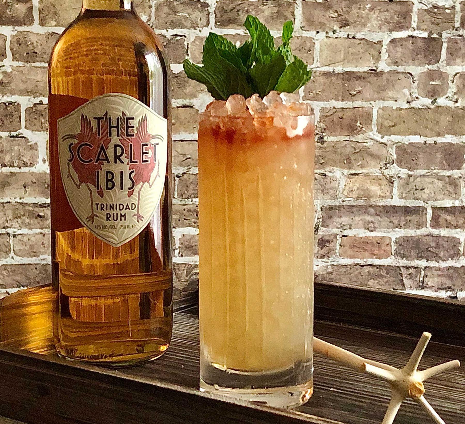 An example of the Queens Park Swizzle, the mixed drink (drink) featuring The Scarlet Ibis Trinidad Rum, lime juice, rich demerara syrup, Angostura bitters, mint leaves, and sprig of mint; photo by Lee Edwards