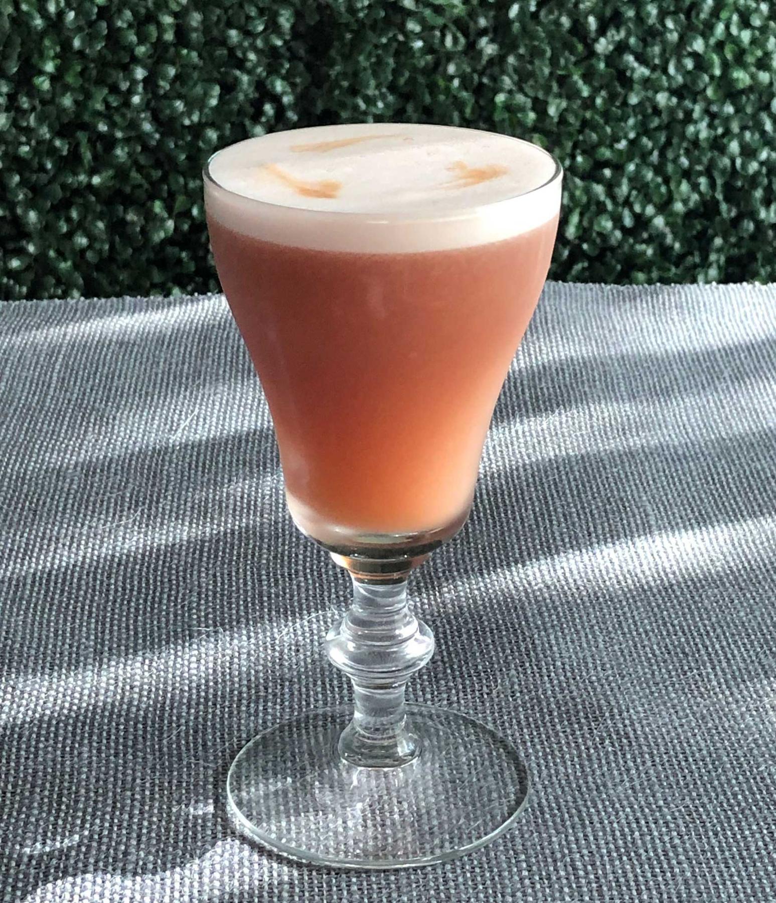 An example of the Damson-Pisco Sour, the mixed drink (drink) featuring Averell Damson Plum Gin Liqueur, pisco, egg white, lime juice, agave nectar, and Amargo Chuncho; photo by Lee Edwards