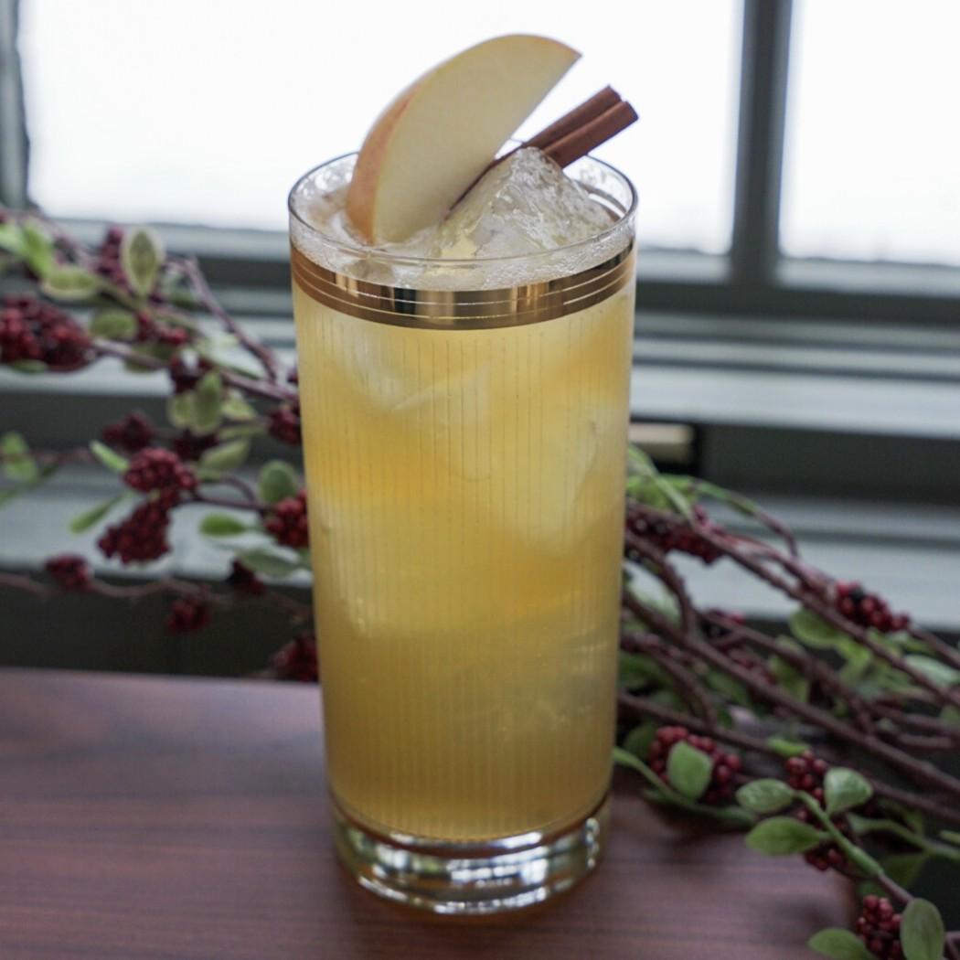 An example of the Spiced Apple Fizz, the mixed drink (drink), by Naren Young, NYC, featuring hard cider, vodka, Etter Pear Williams, honey syrup, lemon juice, apple slice, and cinnamon; photo by Madison Young