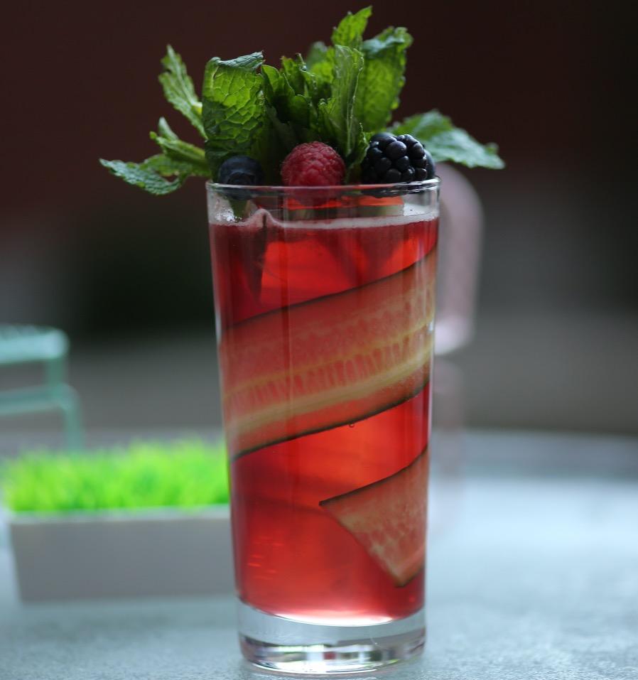 An example of the Cayuga Cup, the mixed drink (drink) featuring ginger ale, Averell Damson Plum Gin Liqueur, fresh fruit, cucumber slice, and lemon wedge; photo by Lauren Clark