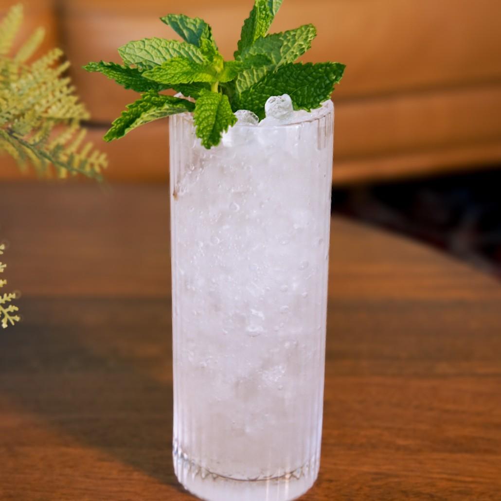 An example of the Jakarta Highball, the mixed drink (drink) featuring soda water, Batavia Arrack van Oosten, John D. Taylor’s Velvet Falernum, and sprig of mint