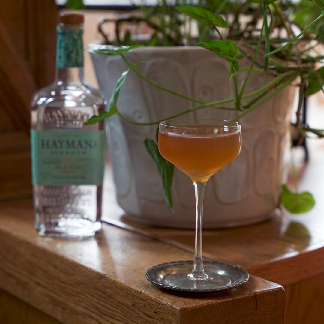 An example of the Dreamer's Poem, the mixed drink (drink) featuring Hayman’s Old Tom Gin, dry vermouth, and Alpeggio Hay Liqueur; photo by Madison Young