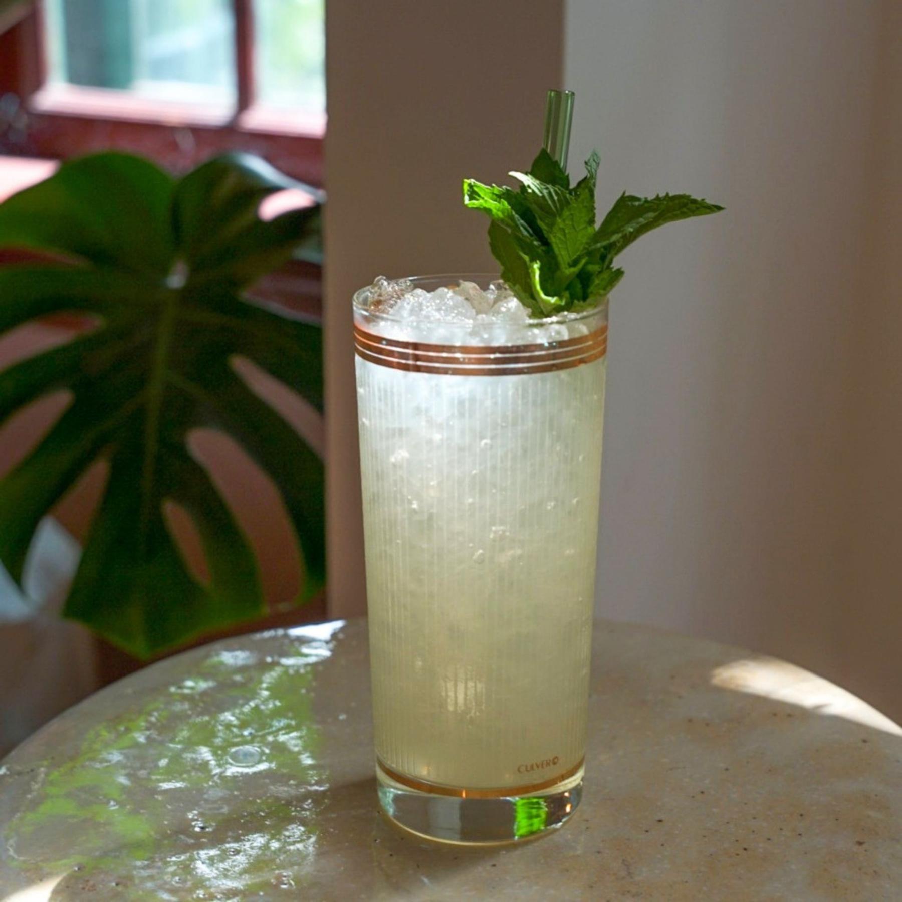 An example of the Spearmint Lemonade, the mixed drink (drink) featuring lemonade, Menthe Verte Spearmint Liqueur, and mint leaf; photo by Madison Young